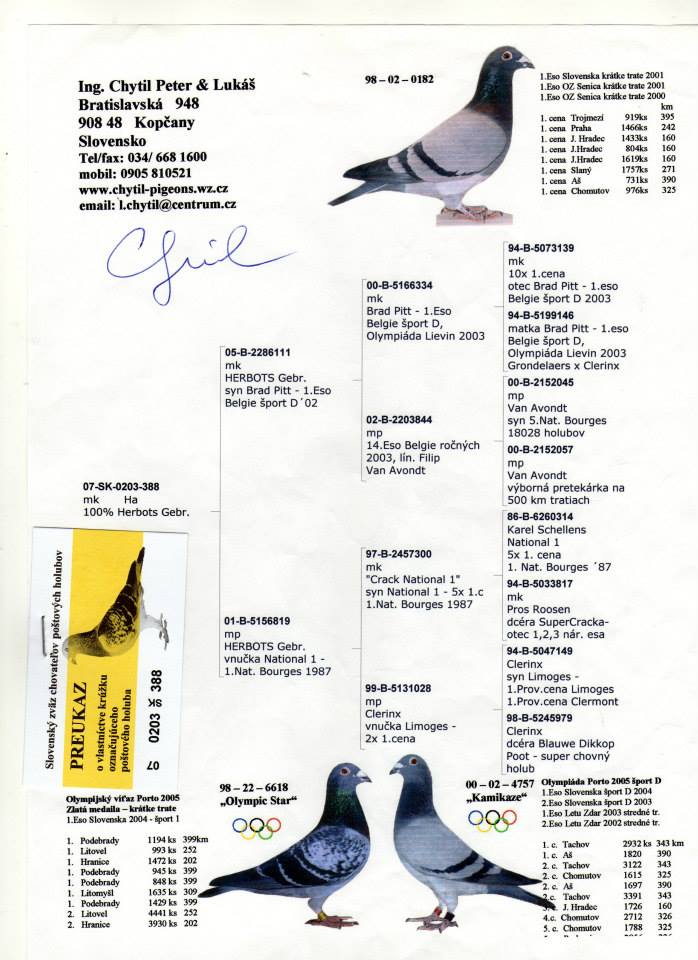 SK-07-0203-388  He