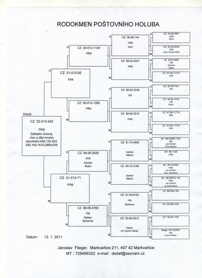 CZ-02-013-542  
