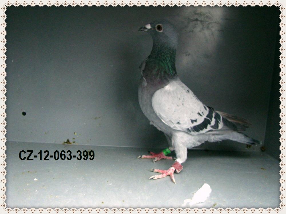 CZ-12-063-399_Fotor